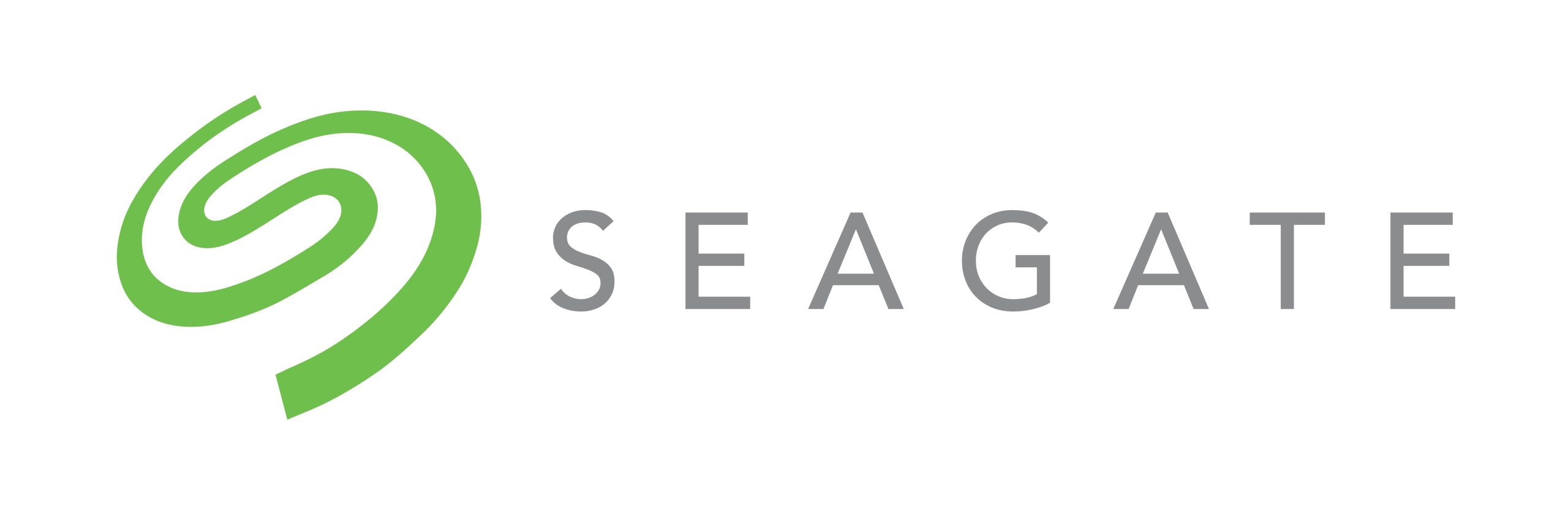 Seagate Seagate